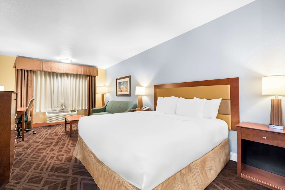 Executive Room, 1 King Bed, Non Smoking, Microwave photo 2