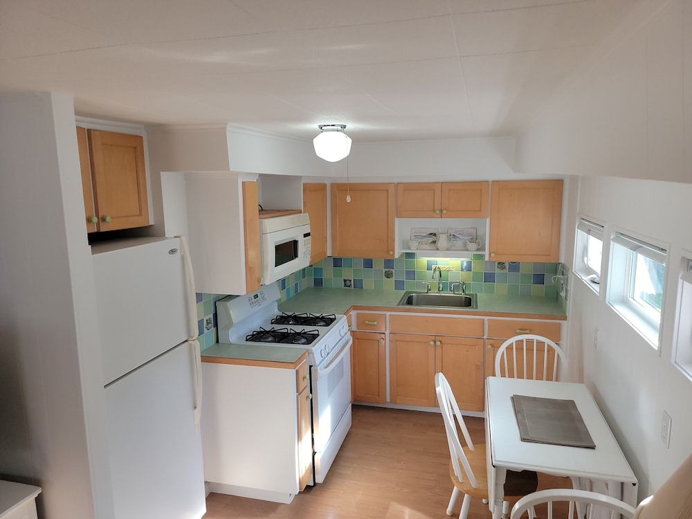 Larch Cove Cottage photo 2