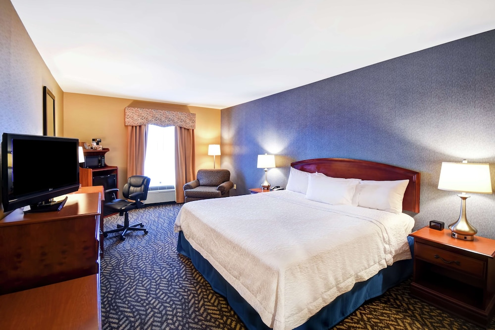Room, 1 King Bed, Accessible, Bathtub photo 2