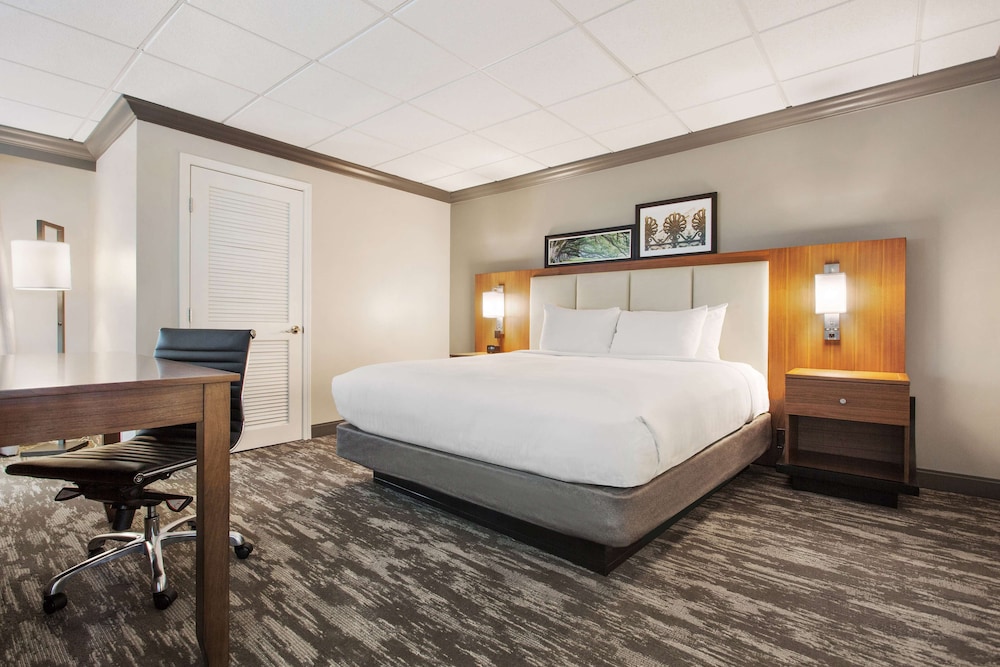 Junior Single Room, 1 King Bed