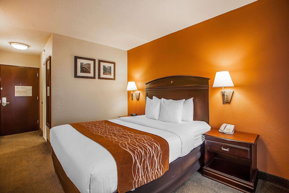 Suite, 1 King Bed with Sofa bed, Non Smoking (Upgrade) photo 3