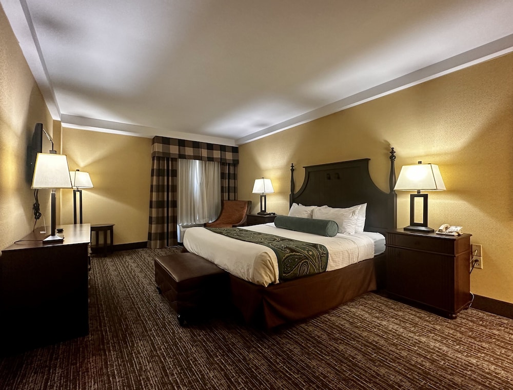 Business Suite, 1 King Bed with Sofa bed photo 3