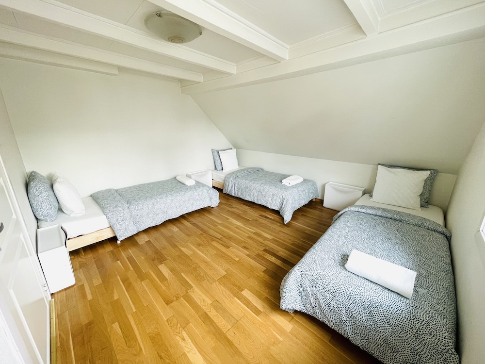 Shared Dormitory, Mixed Dorm (3 Beds) photo 1