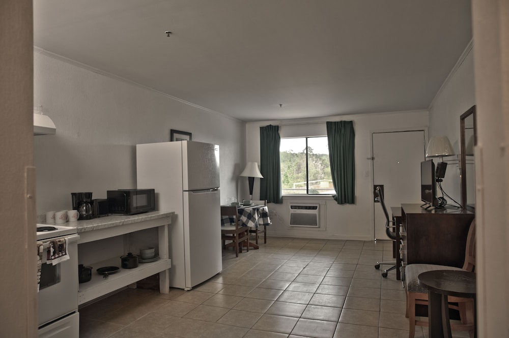 Basic Studio Suite, Accessible, Non Smoking photo 3
