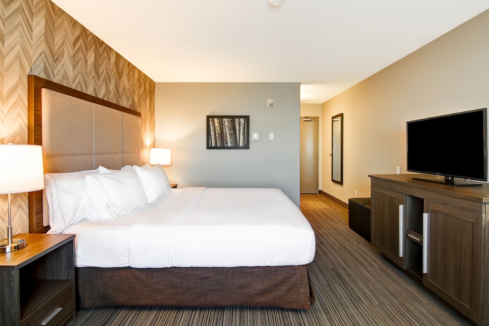 Business Room, 1 King Bed with Sofa bed photo 2
