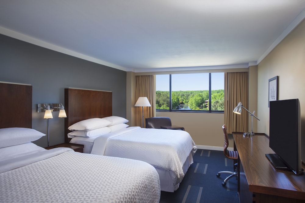 Executive Suite, 1 Bedroom photo 3
