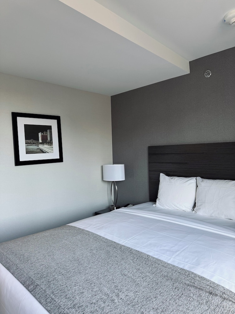 Single Room, 1 King Bed, Non Smoking photo 2