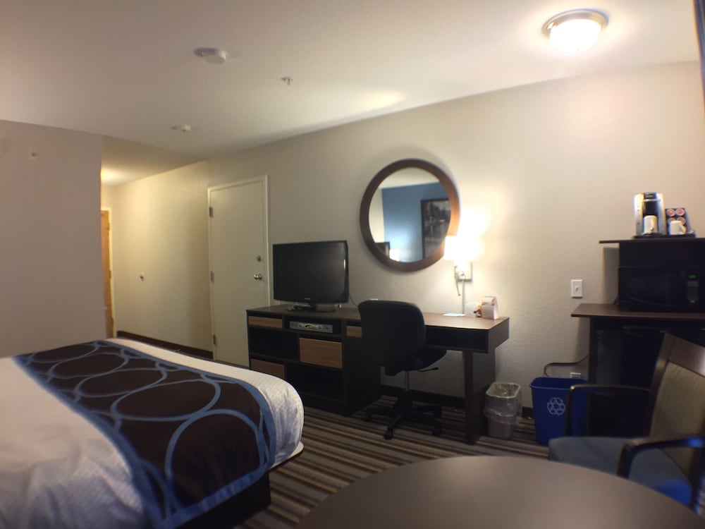 Room, 1 King Bed, Accessible, Non Smoking (Mobility Accessible) - Photo 9