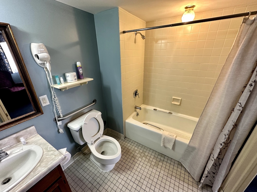 Premier Room, 1 King Bed - Photo 28