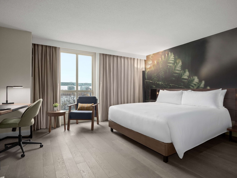 Executive Room, 1 King Bed - Photo 8