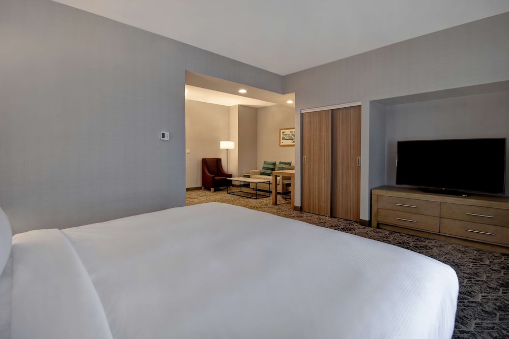 Studio Suite, 1 King Bed, Accessible, Bathtub - Photo 4