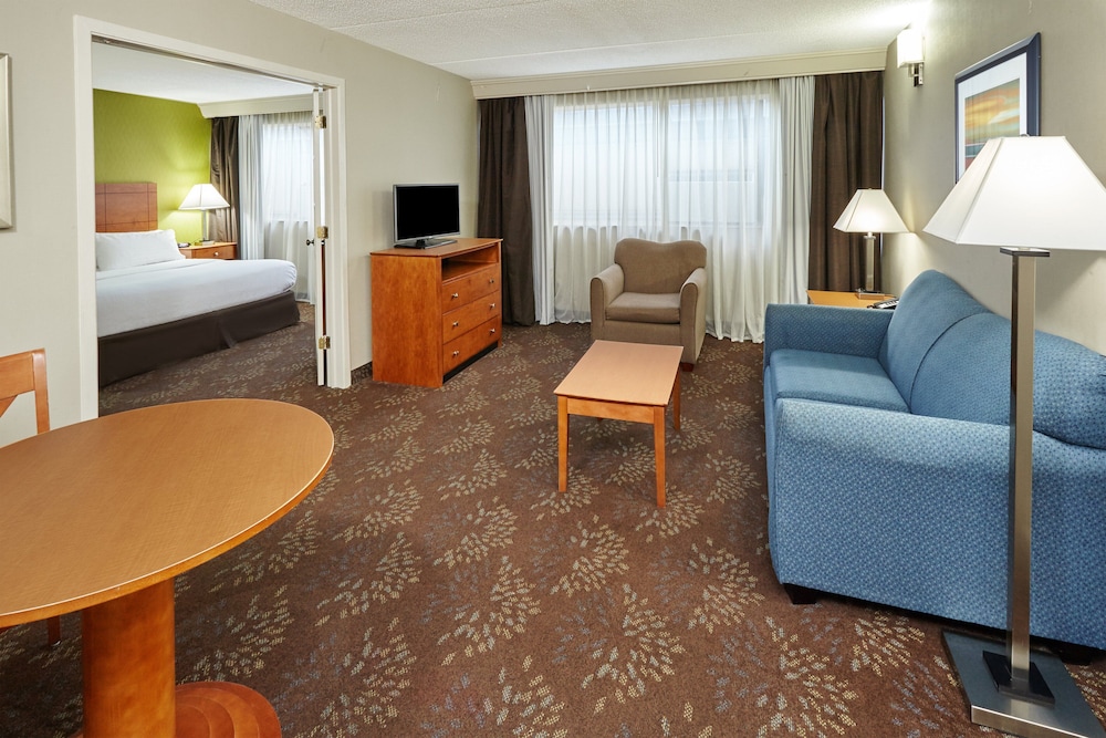 Suite, 1 King Bed With Sofa Bed