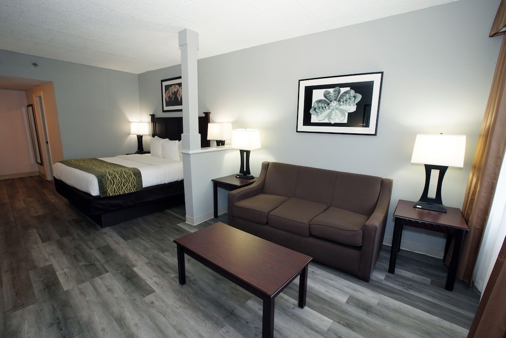 Suite, 1 King Bed, Non Smoking, Refrigerator & Microwave (Larger Room;with Sofabed) - Photo 8