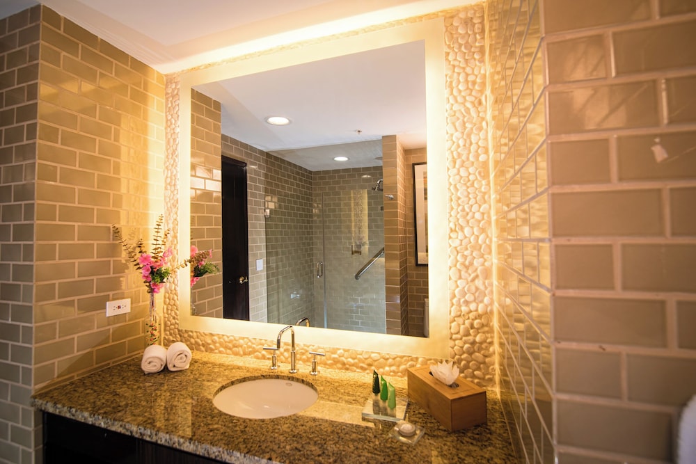 Deluxe King Room - Photo 16