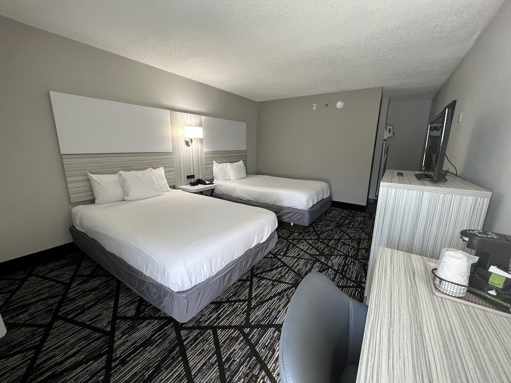 Studio Suite, Multiple Beds, Non Smoking photo 1