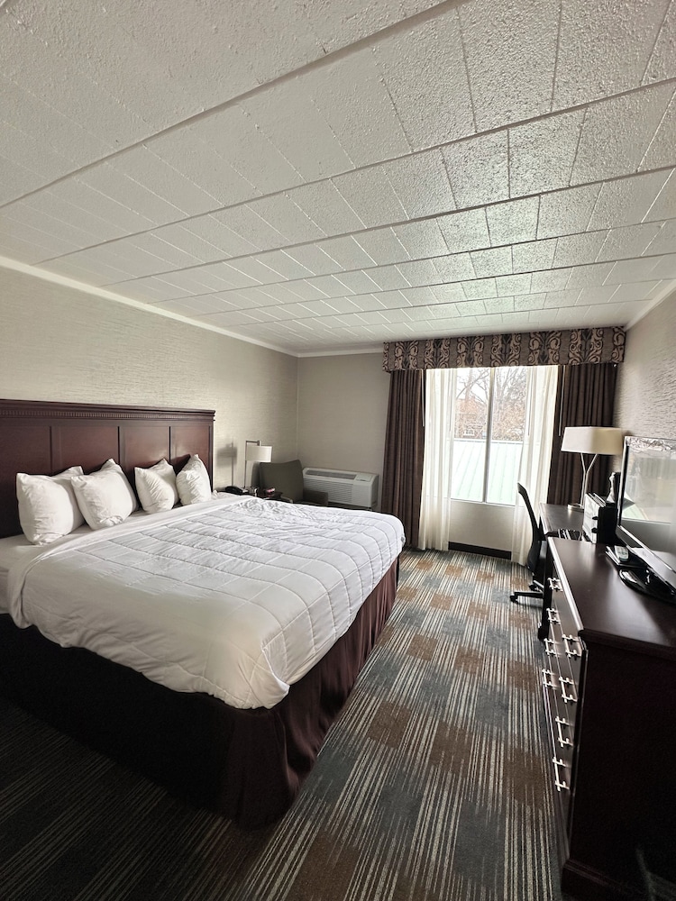 Deluxe Room, 1 King Bed, Refrigerator & Microwave photo 2