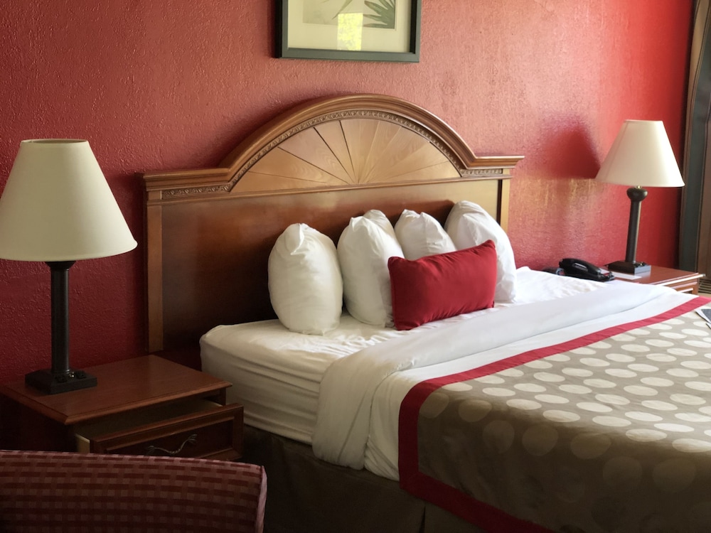 Room, 1 King Bed, Accessible, Non Smoking photo 3