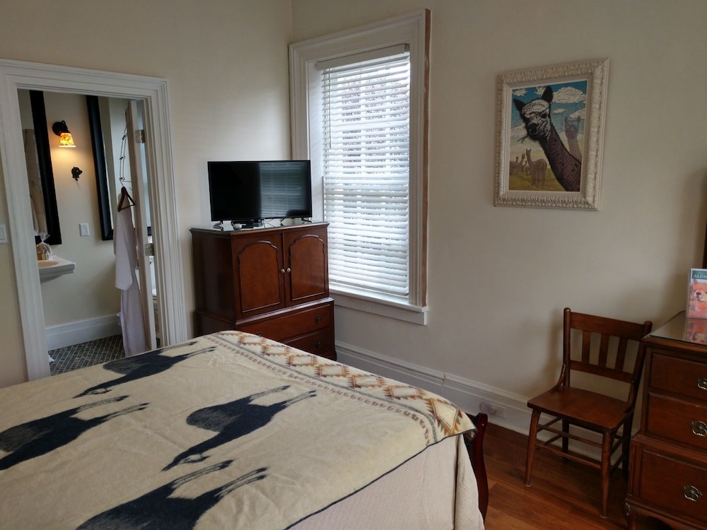 Room (Alpaca) photo 1