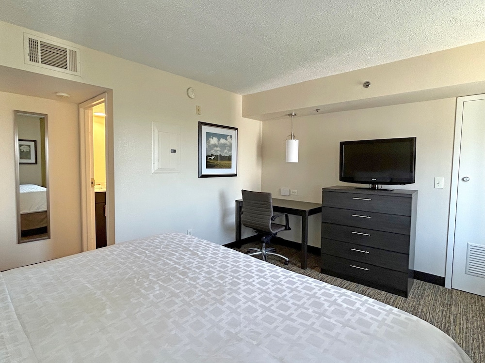 Suite, 1 Bedroom, Accessible (Mobil Tub) - Photo 4