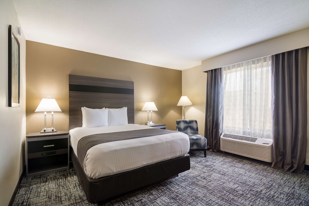 Standard Room, 1 Queen Bed, Non Smoking, Refrigerator & Microwave