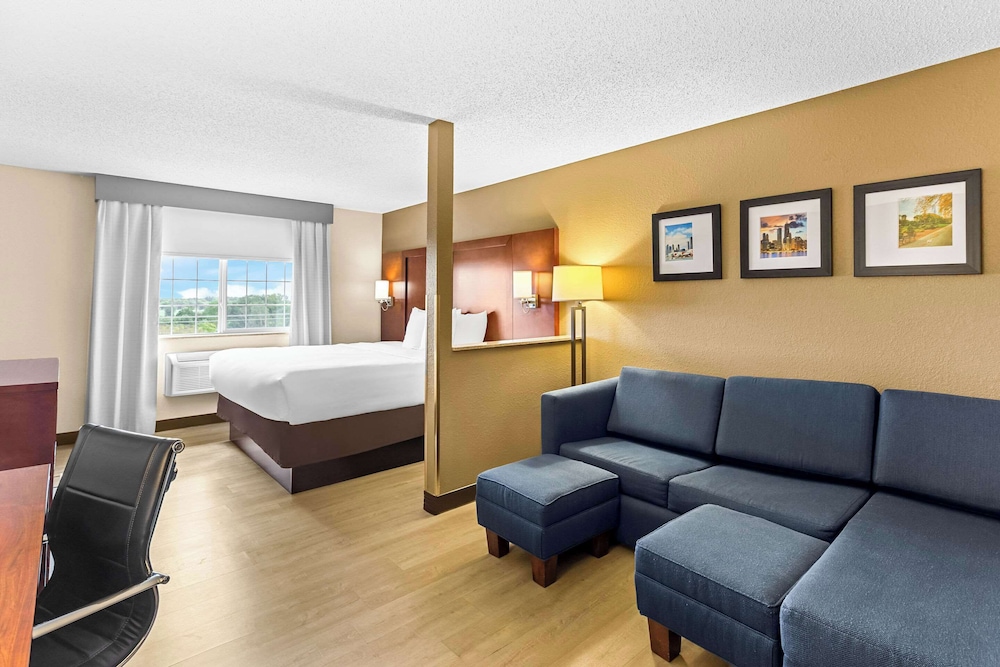Suite - Photo 1
