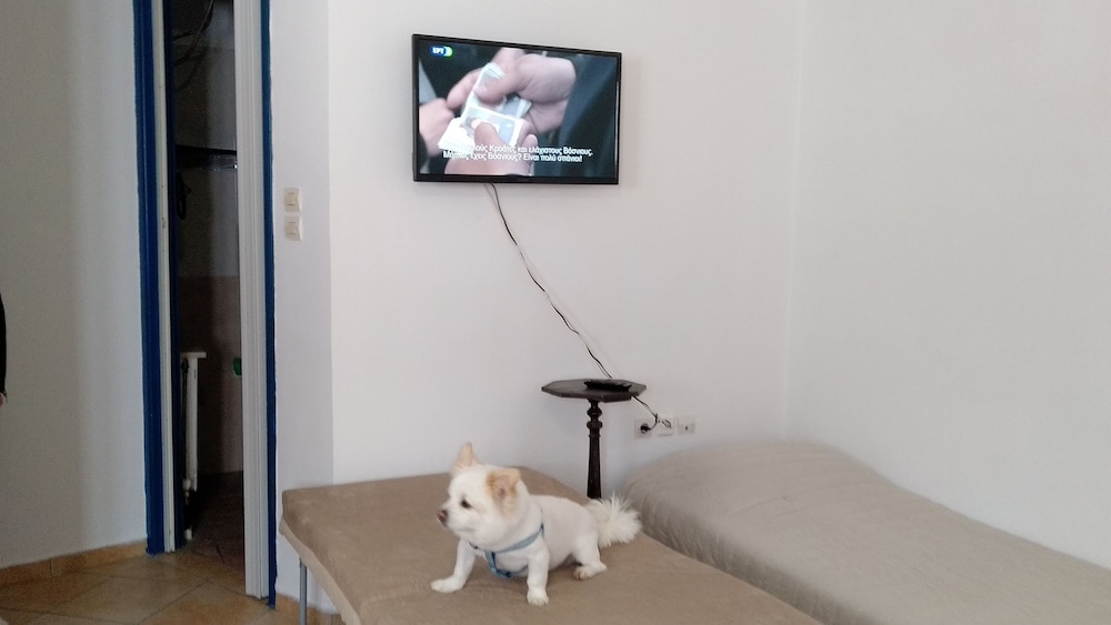 Classic Apartment, 1 Bedroom photo 1