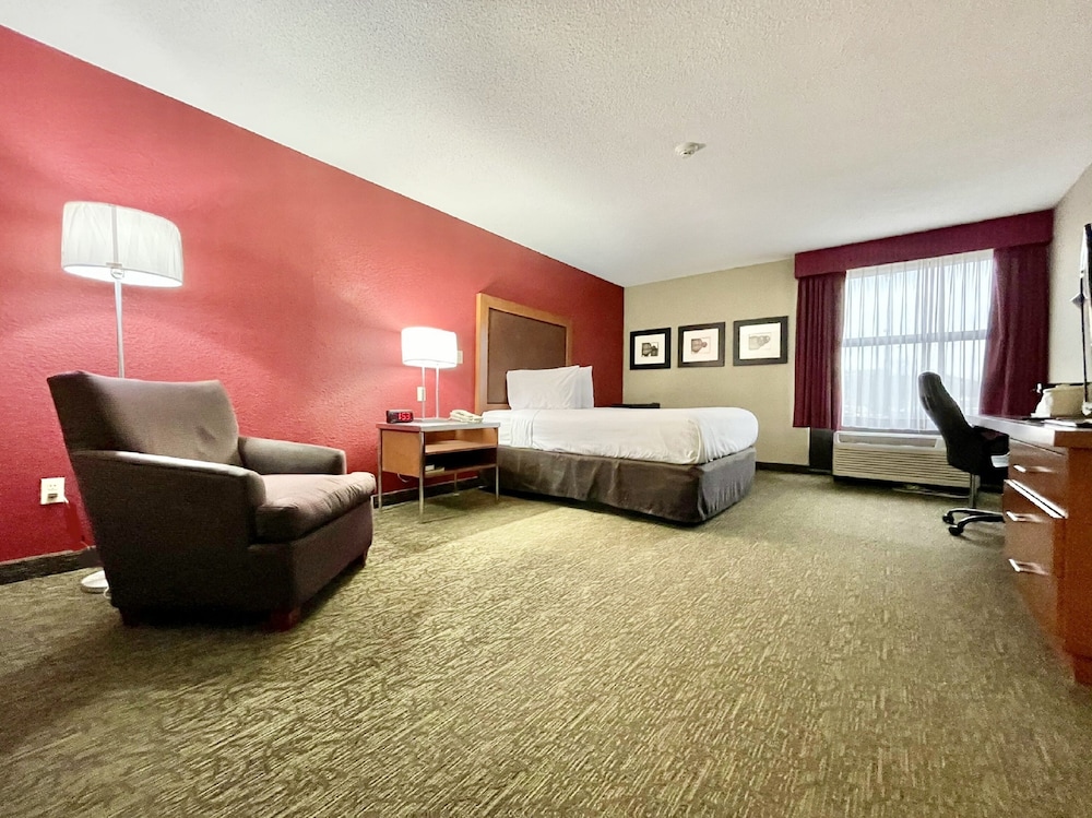 Superior Room, 1 King Bed, Accessible, Non Smoking photo 1