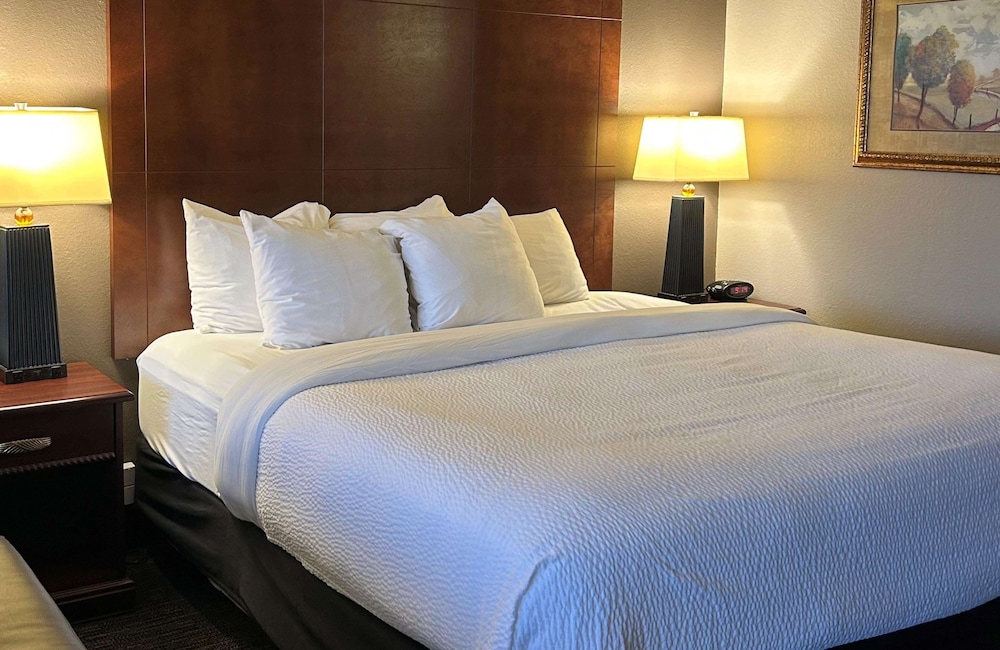 Suite, 1 King Bed, Refrigerator & Microwave, River View - Photo 2
