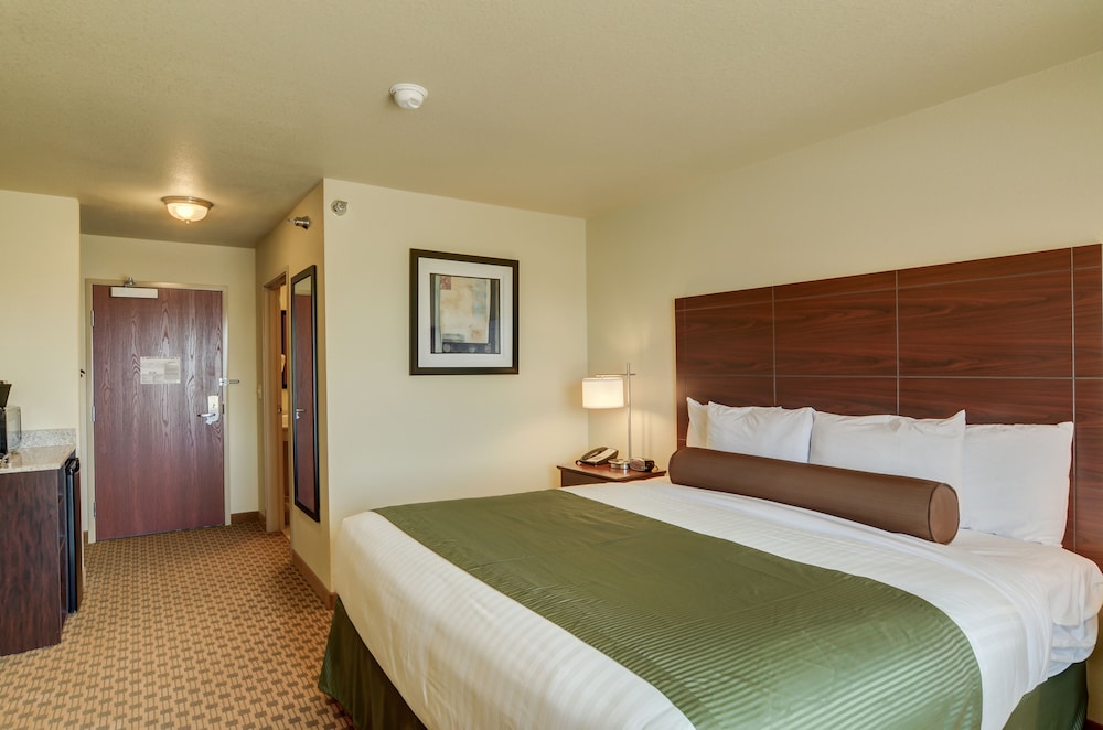 Room, 1 King Bed, Non Smoking photo 3