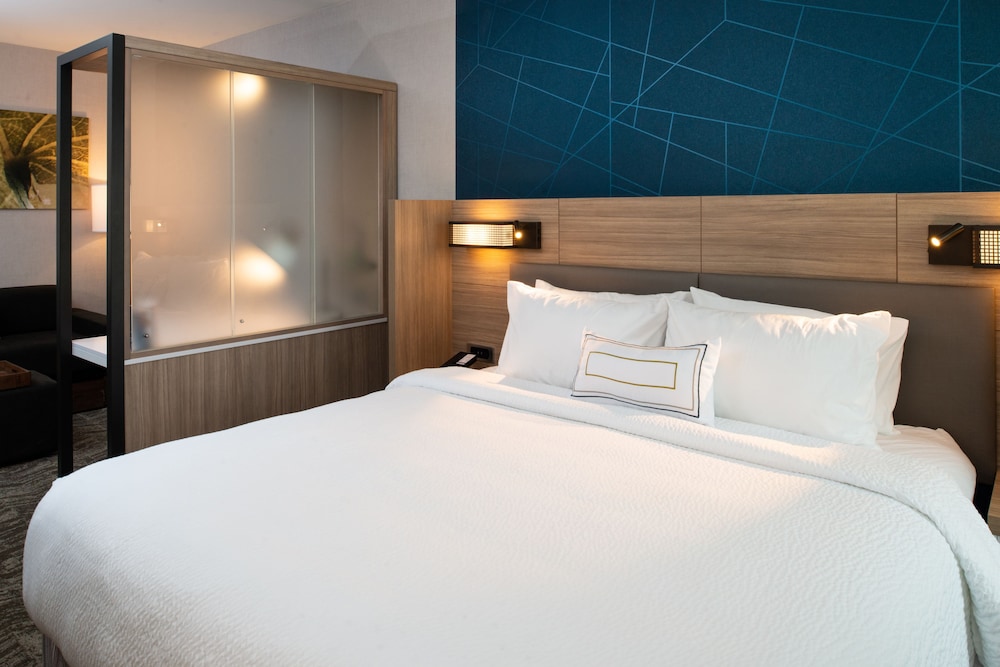 Suite, 1 King Bed (Mobility/Hearing Access, Roll-In Shwr) photo 2