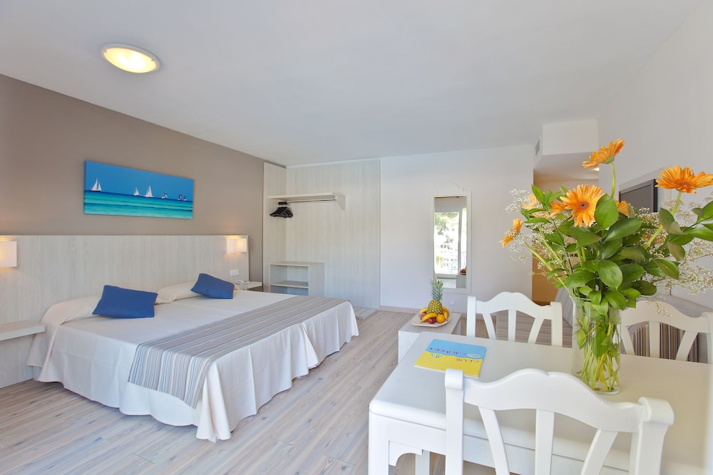 Basic Apartment, Terrace