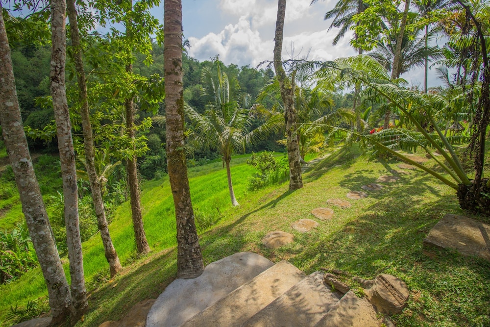 Bali Villa - Photo 15