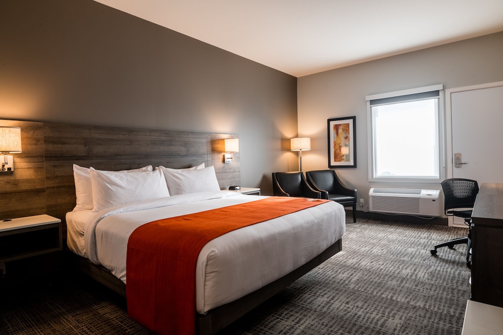Room, 1 King Bed, Accessible photo 1