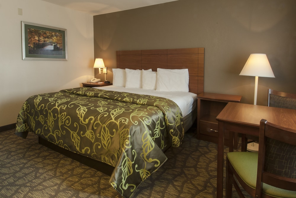 Standard Room, 1 King Bed, Non Smoking, Refrigerator - Photo 2