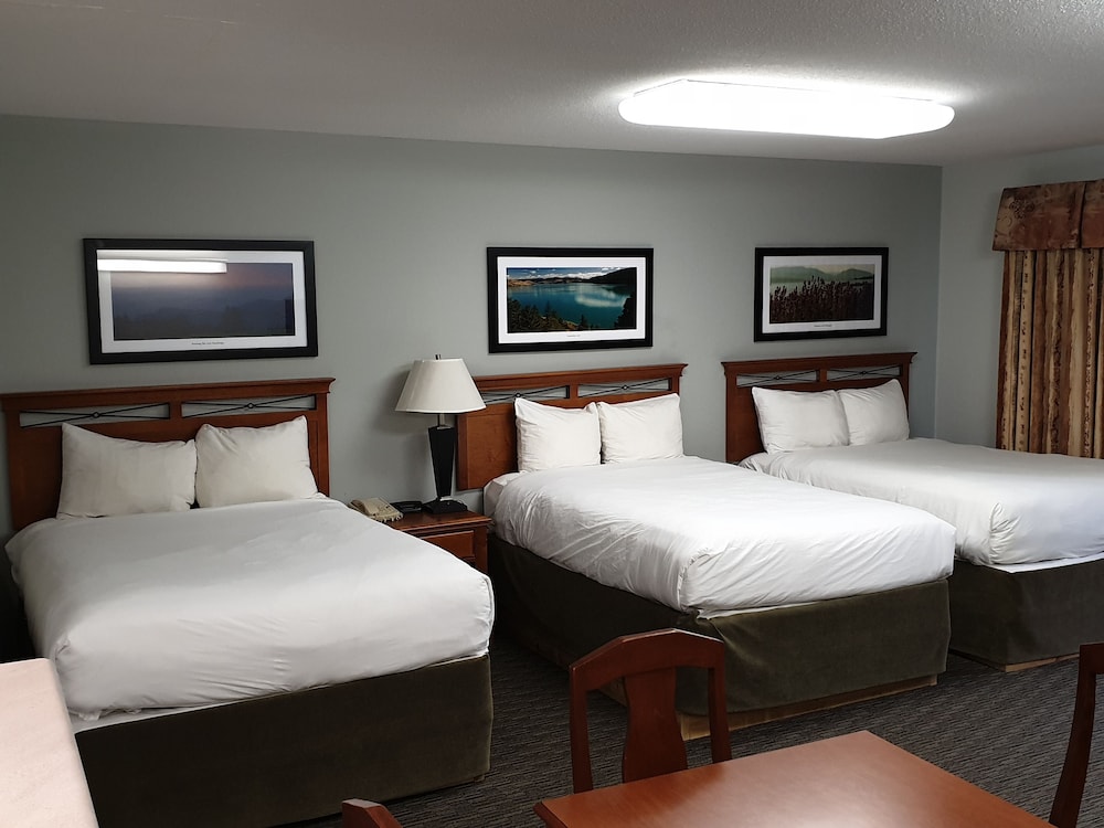 Suite, 3 Queen beds photo 2