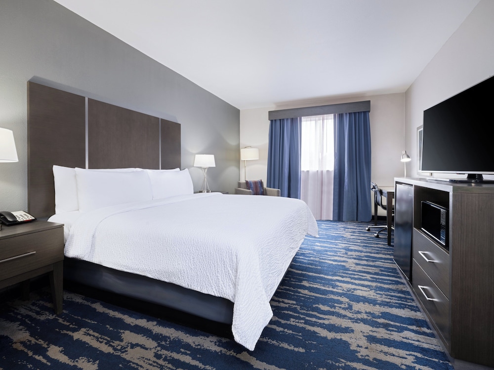 Standard Room, 1 King Bed, Accessible (Communications Accessible) - Photo 7