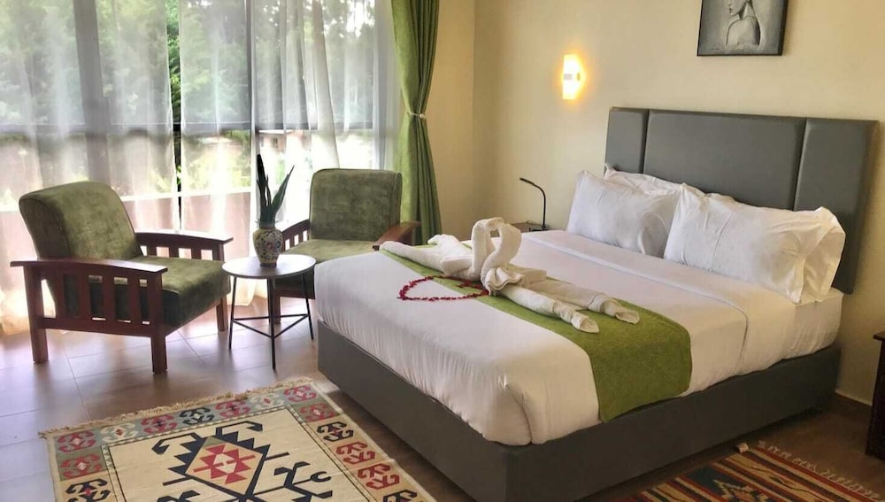 Executive Double Room, Pool View