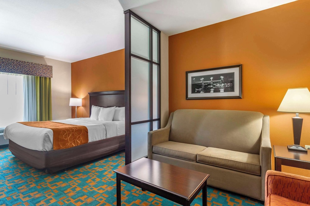 Suite, 1 King Bed with Sofa bed, Accessible, Non Smoking