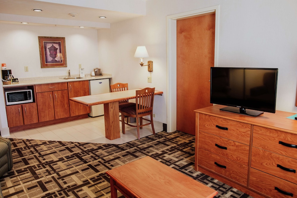 Suite, 1 Bedroom - Photo 1