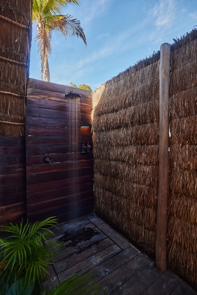Room (Jungle) - Photo 8
