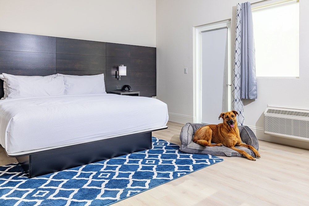 Deluxe Single Room photo 3