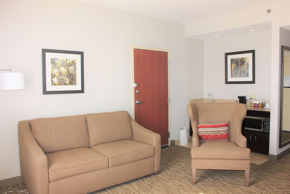 Suite, 1 King Bed, Non Smoking - Photo 1