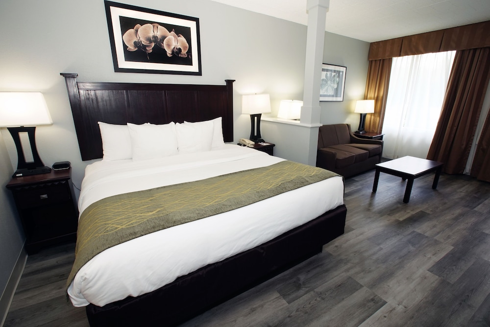 Suite, 1 King Bed, Non Smoking, Refrigerator & Microwave (Larger Room;with Sofabed) - Photo 6