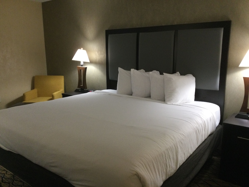 Deluxe Studio Suite, 1 King Bed, Non Smoking, Jetted Tub - Photo 4