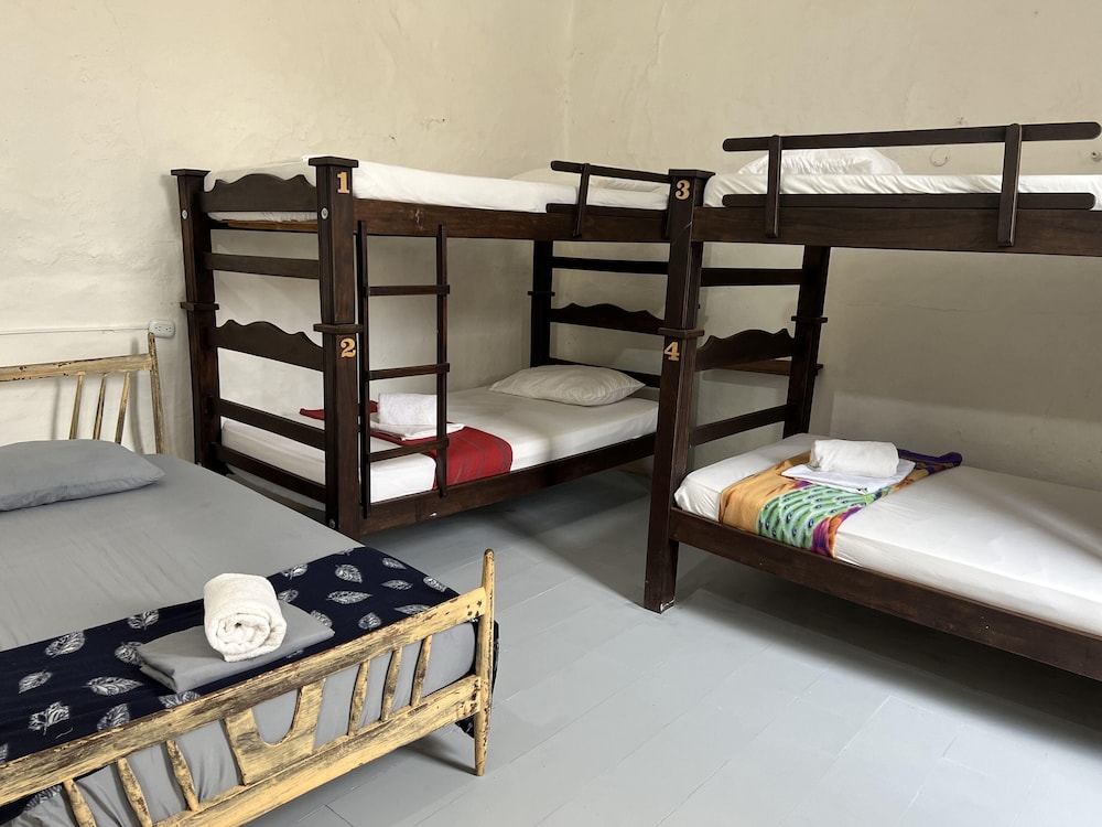 Standard Shared Dormitory photo 1