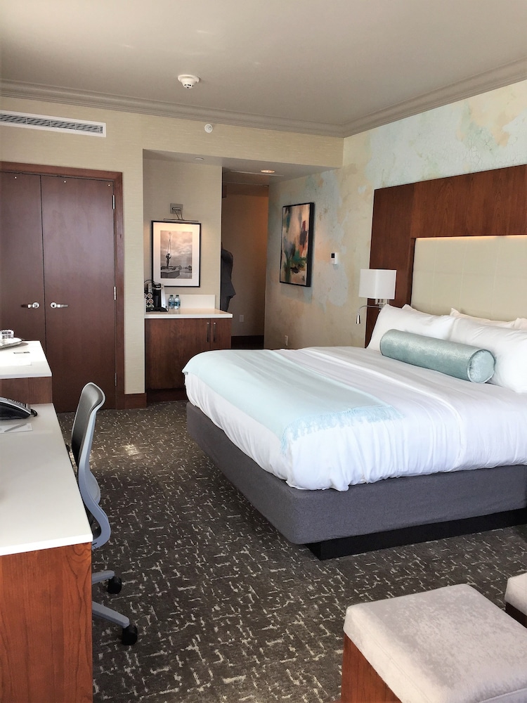 Junior Suite, 1 King Bed, River View photo 2