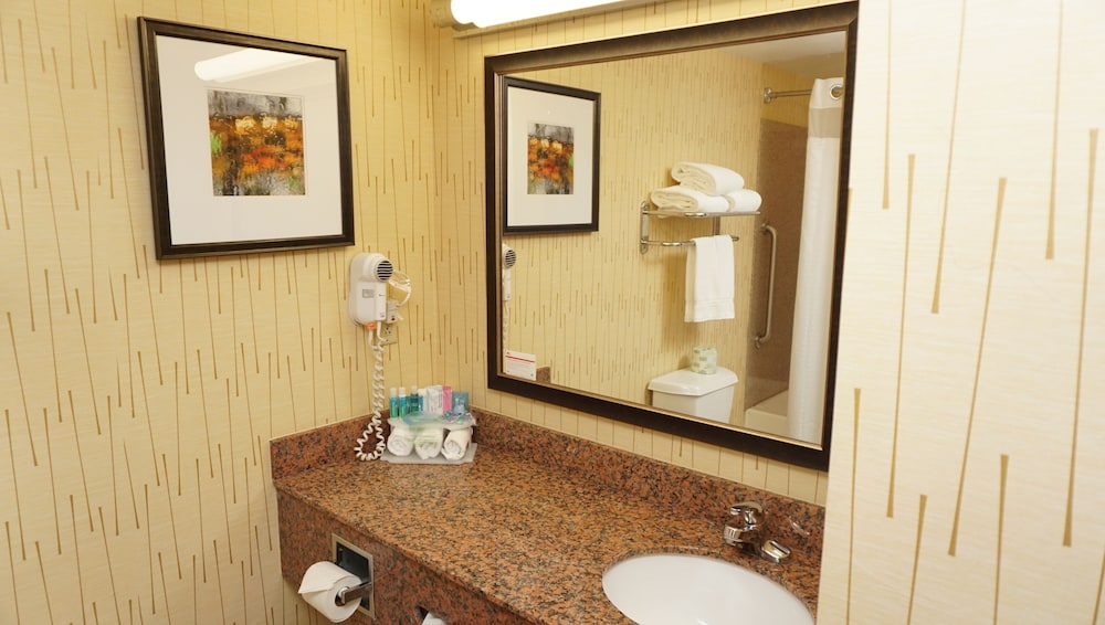 Suite, 1 King Bed with Sofa bed, Accessible (Mobility) - Photo 5