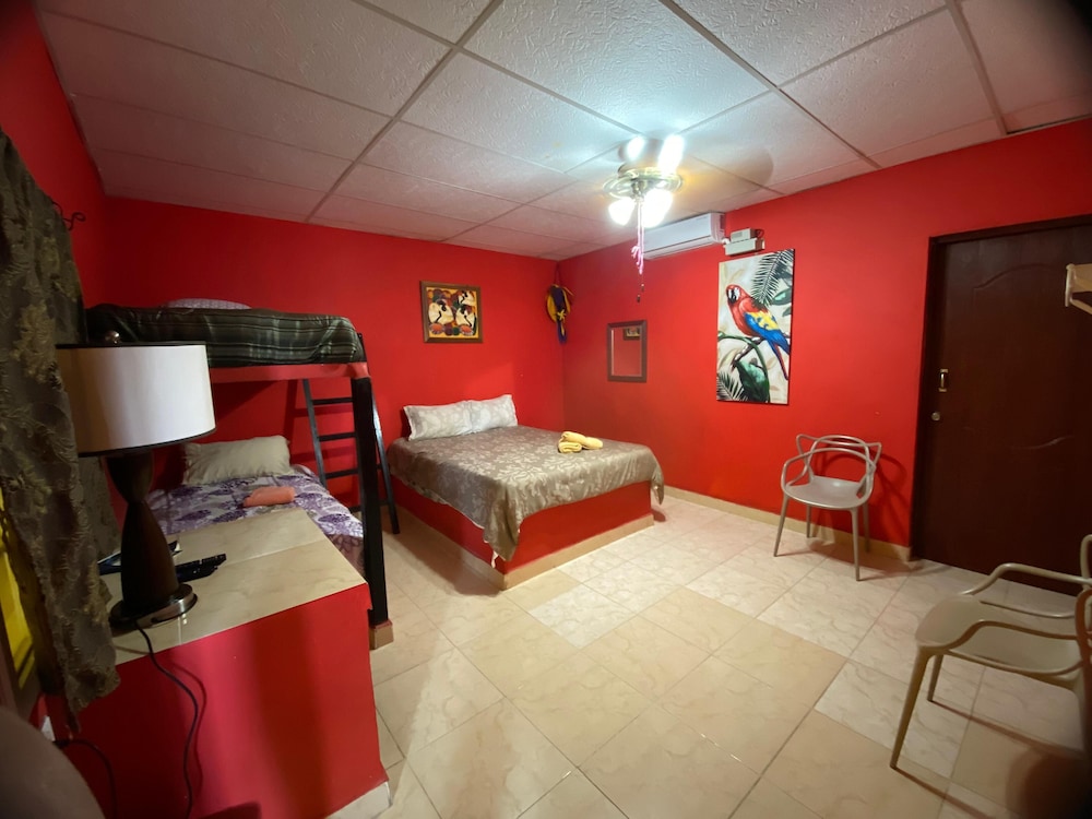 Family Single Room photo 1
