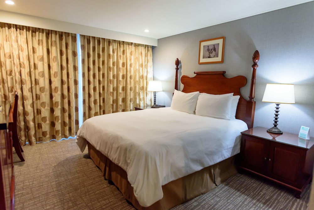 Studio, 1 King Bed, Kitchenette