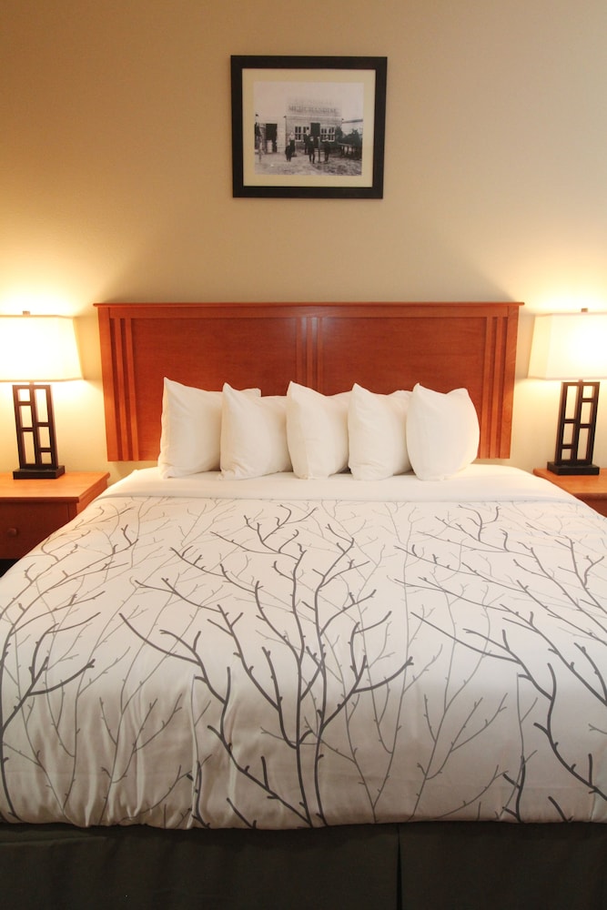 Deluxe Suite, 1 King Bed with Sofa bed, Refrigerator & Microwave
